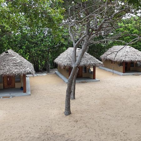 Peanut Farm Surf And Wild Resort - Arugambay Baie d'Arugam Extérieur photo