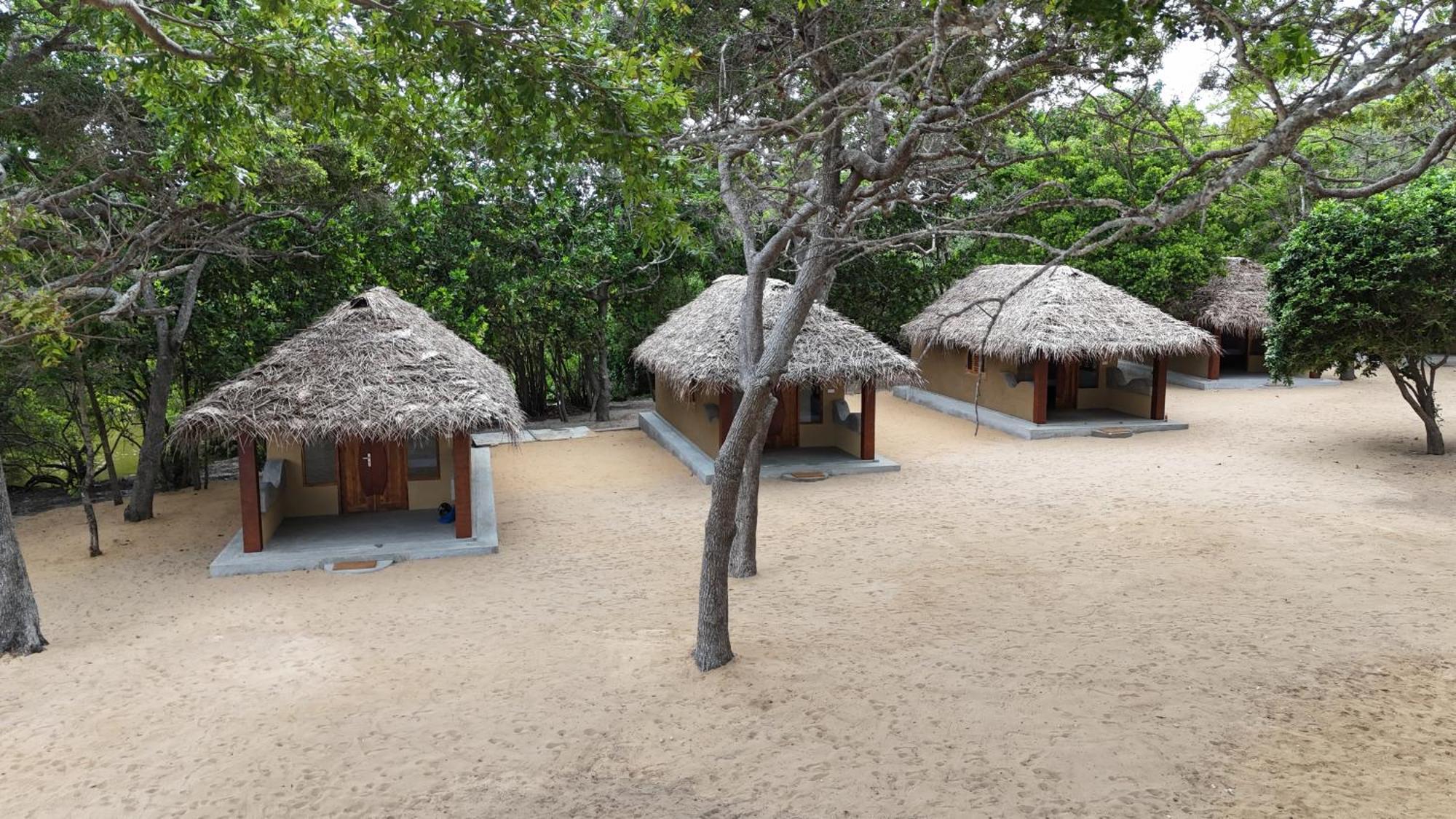 Peanut Farm Surf And Wild Resort - Arugambay Baie d'Arugam Extérieur photo