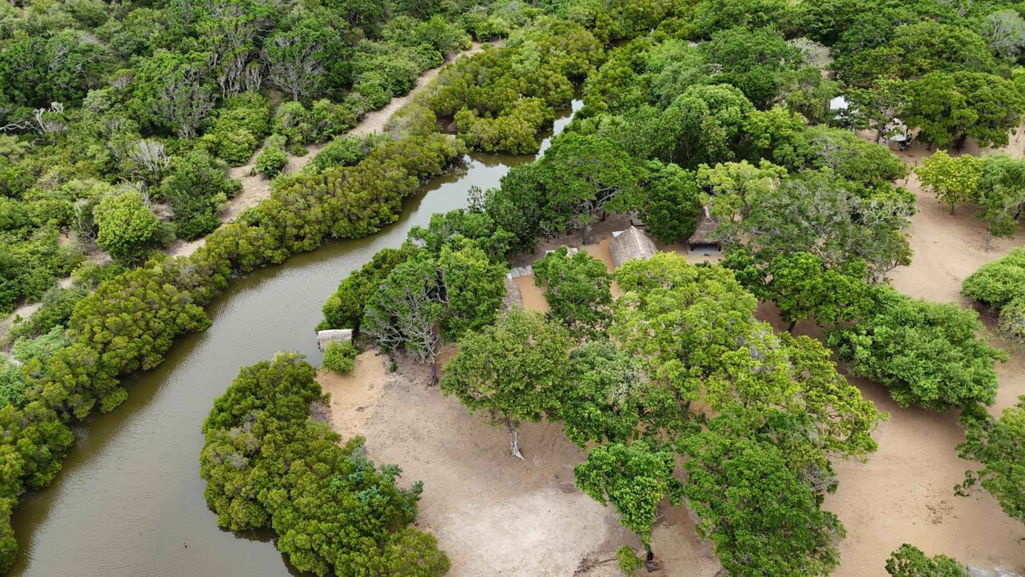 Peanut Farm Surf And Wild Resort - Arugambay Baie d'Arugam Extérieur photo