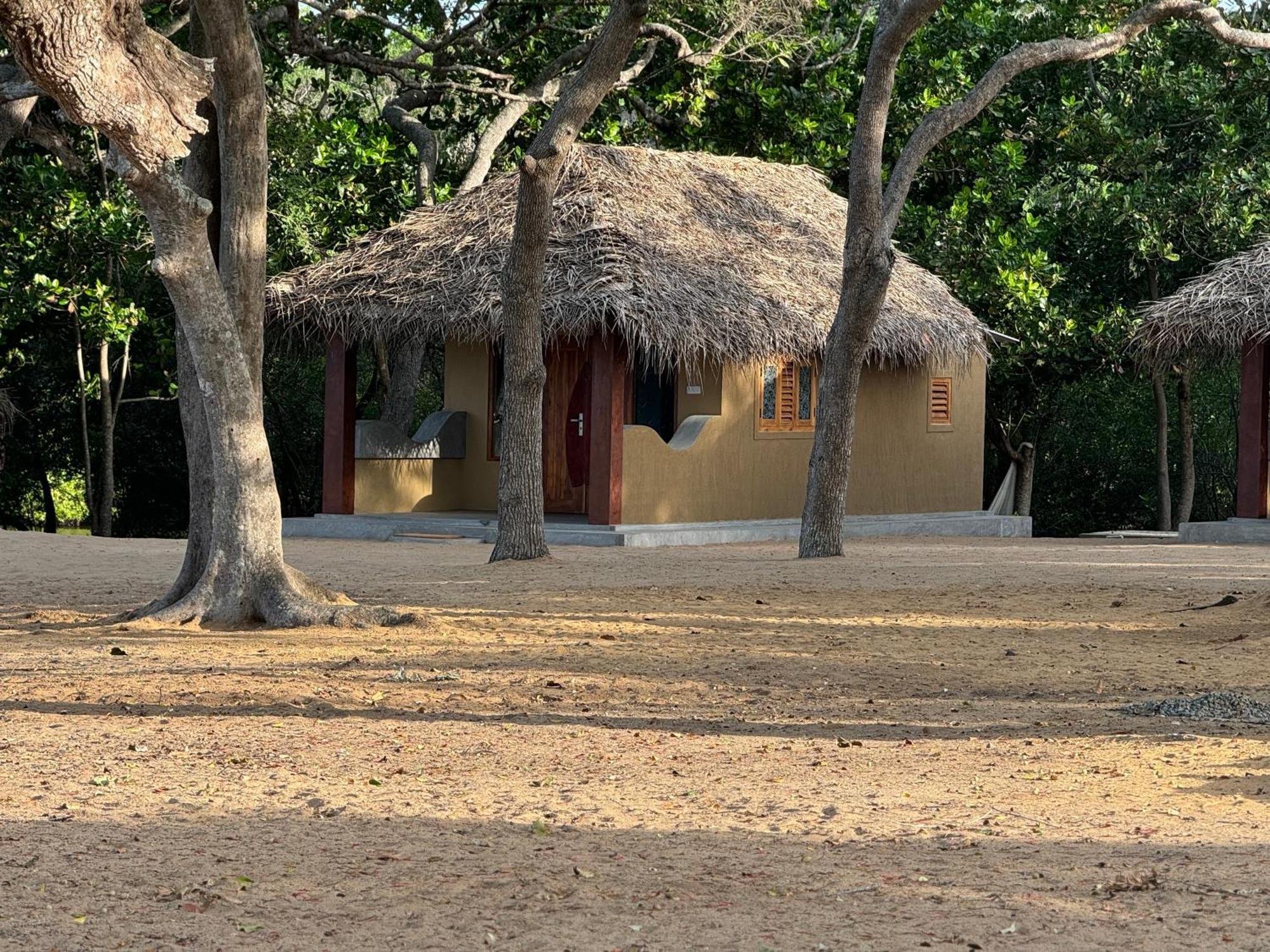 Peanut Farm Surf And Wild Resort - Arugambay Baie d'Arugam Extérieur photo