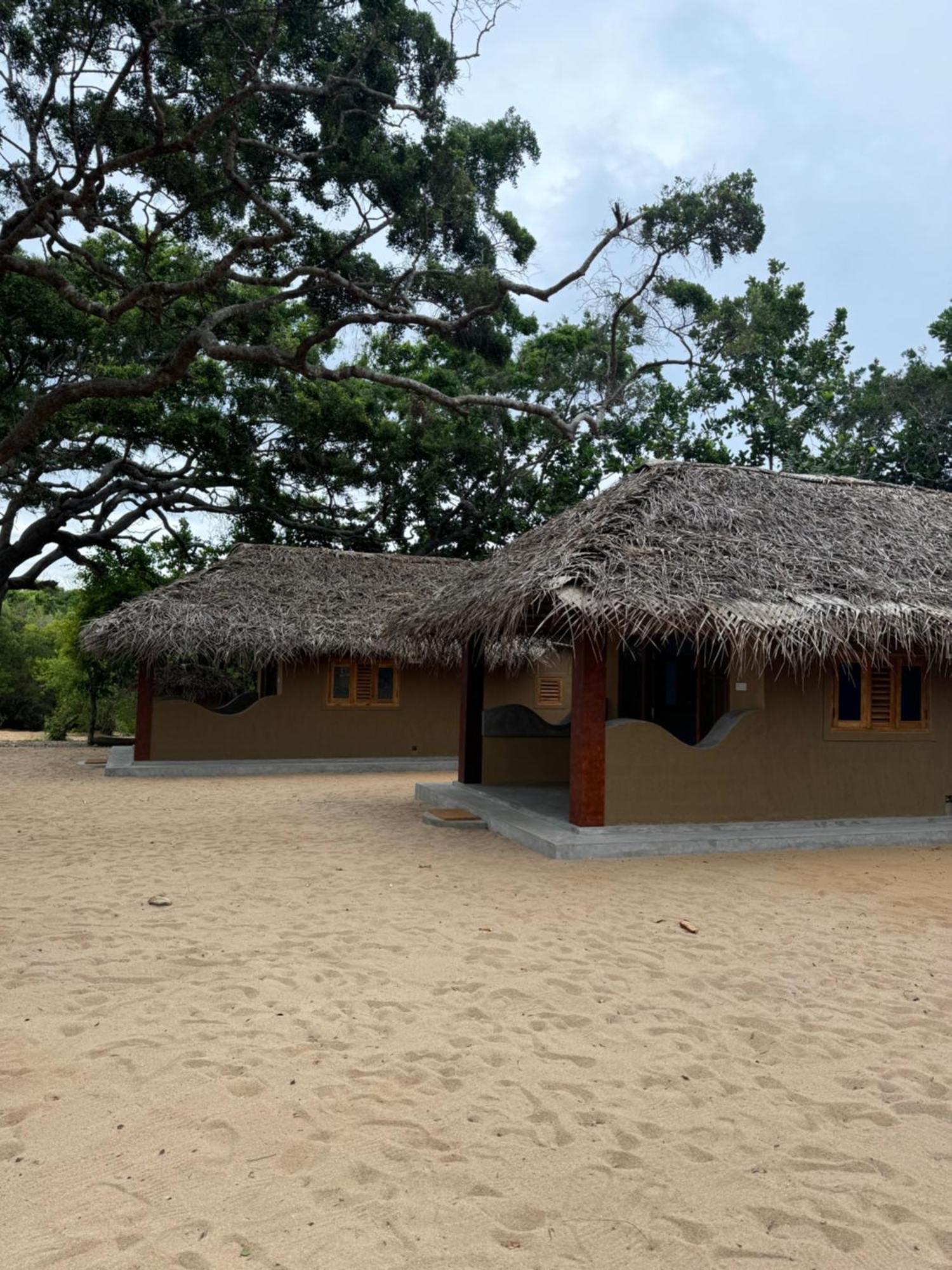 Peanut Farm Surf And Wild Resort - Arugambay Baie d'Arugam Extérieur photo
